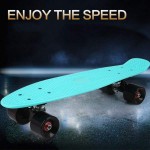 Skateboard Solide Cruising Figure Skate Planche Retro Penny Cruiser Personnalisable