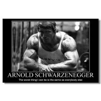 Arnold Schwarzenegger  Wall Silk Poster...