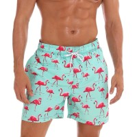 Maillot de bain Homme Short Plage sexy fashion Turquoise vert Flamingo